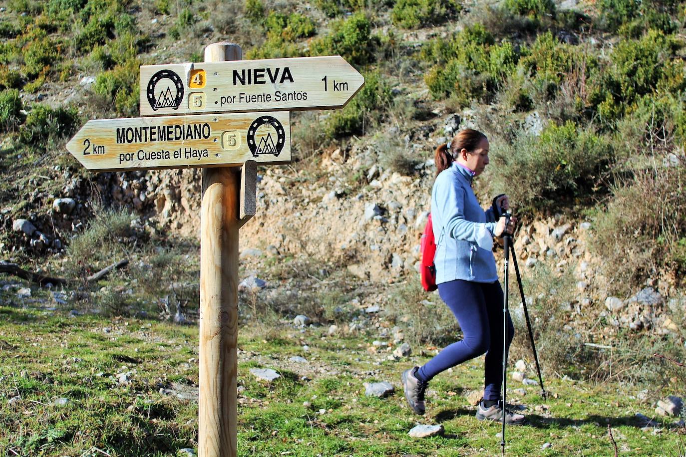 El paseo por Nieva de Cameros tiene carácter benéfico