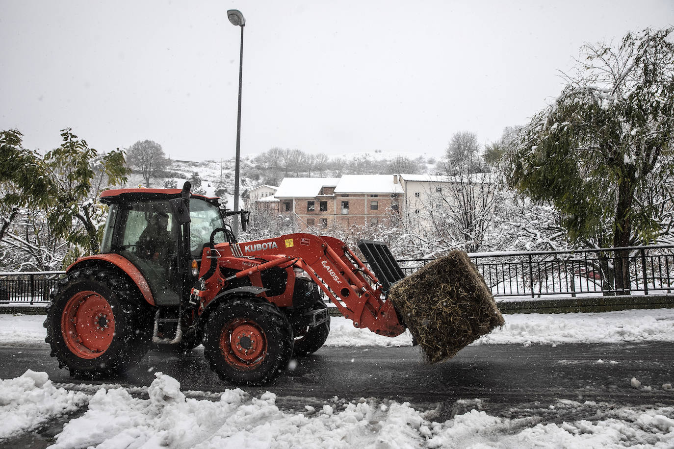 Fotos: Los Cameros, cubiertos de nieve