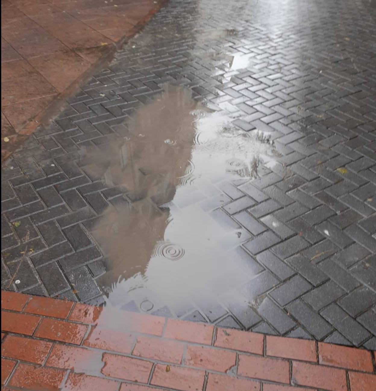 Cs critica el «lamentable» estado del pavimento en el Paseo de las Cien Tiendas