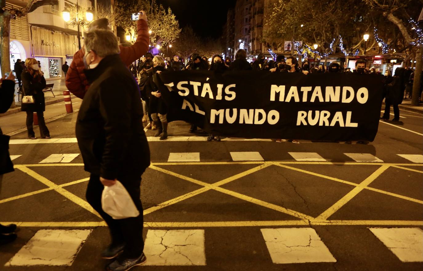 Fotos: La protesta contra las eólicas recorre las calles de Logroño