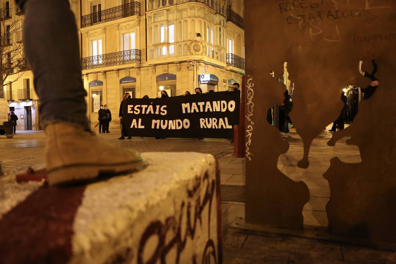 Fotos: La protesta contra las eólicas recorre las calles de Logroño