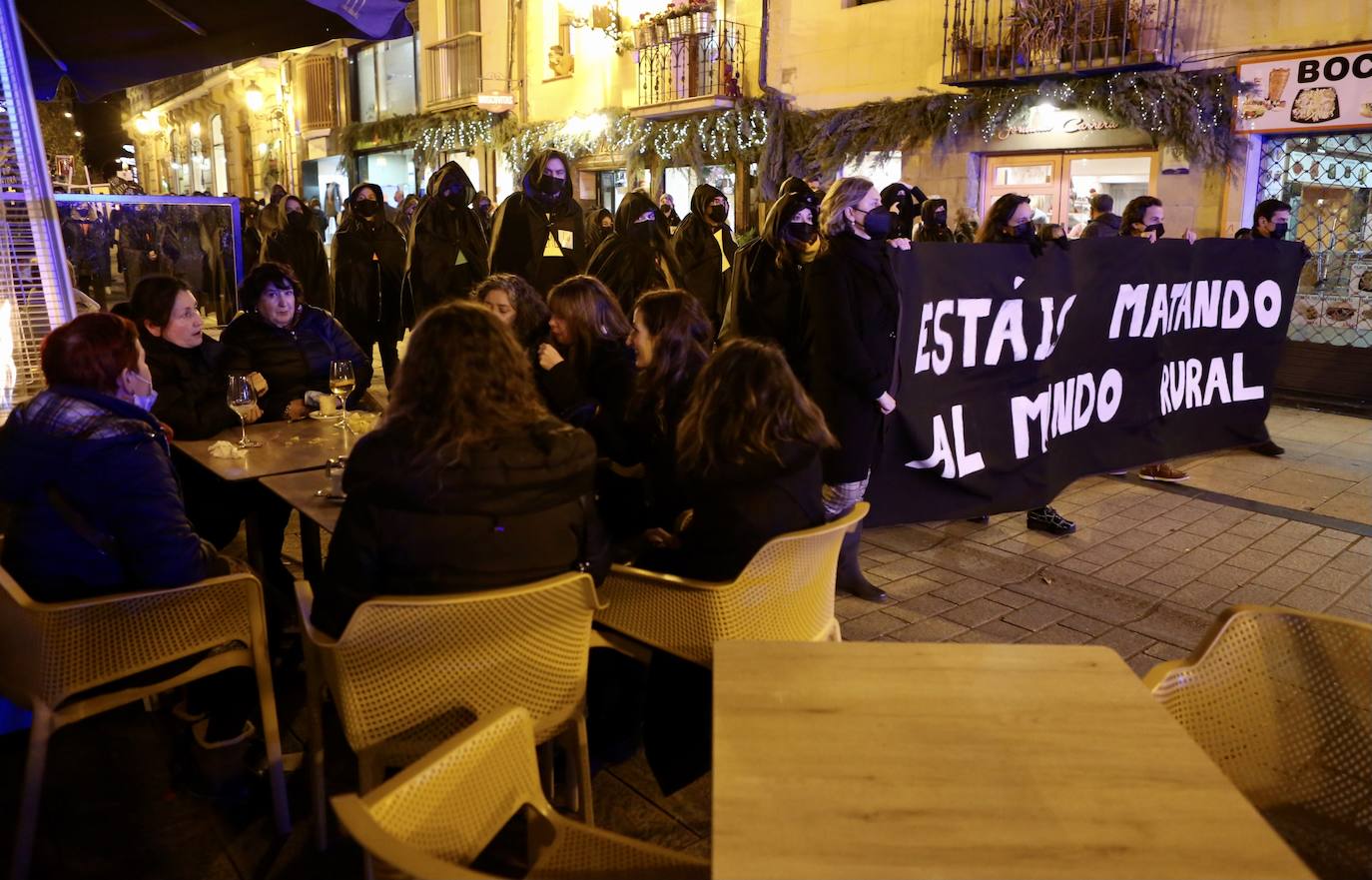 Fotos: La protesta contra las eólicas recorre las calles de Logroño