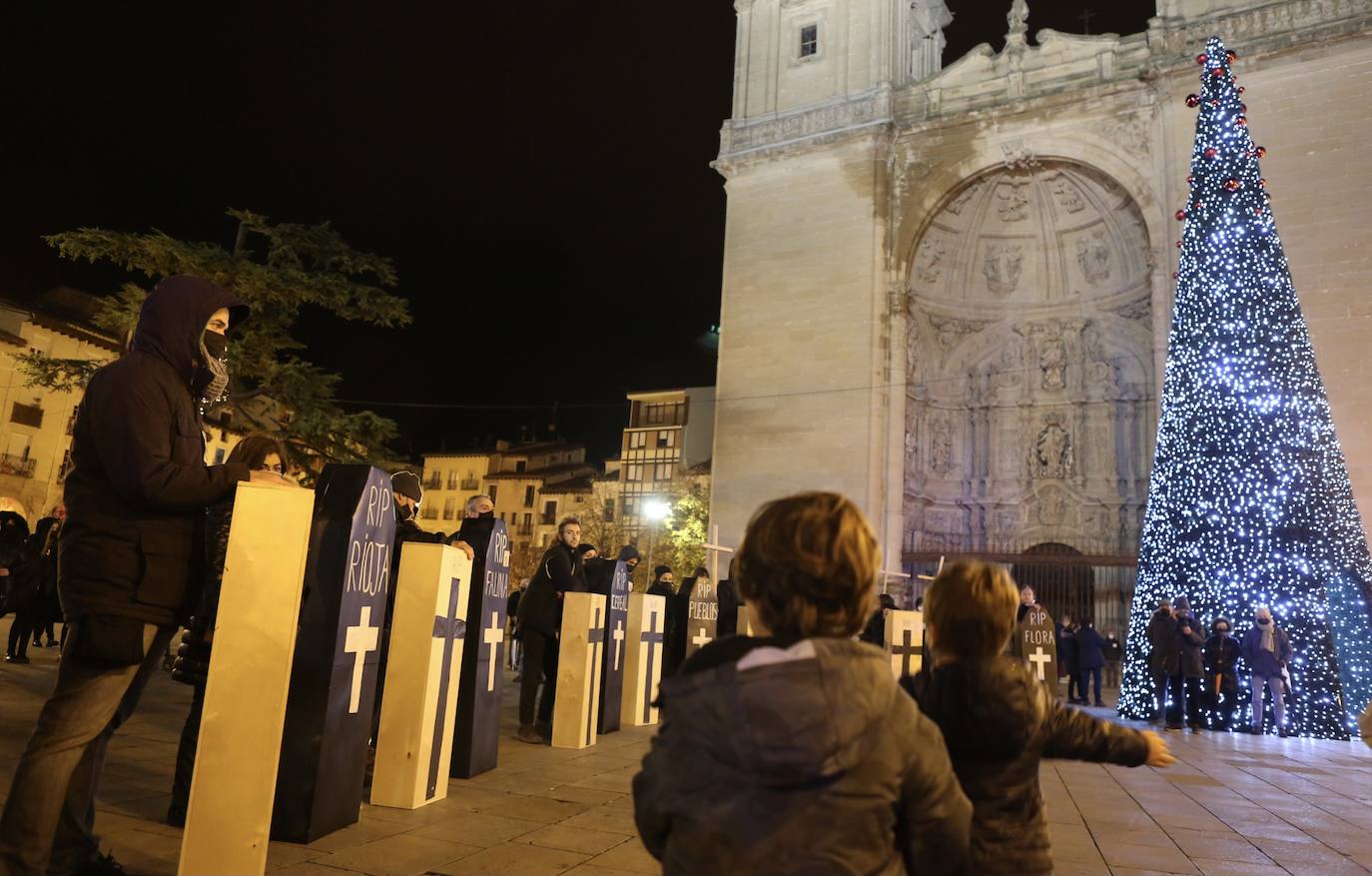 Fotos: La protesta contra las eólicas recorre las calles de Logroño