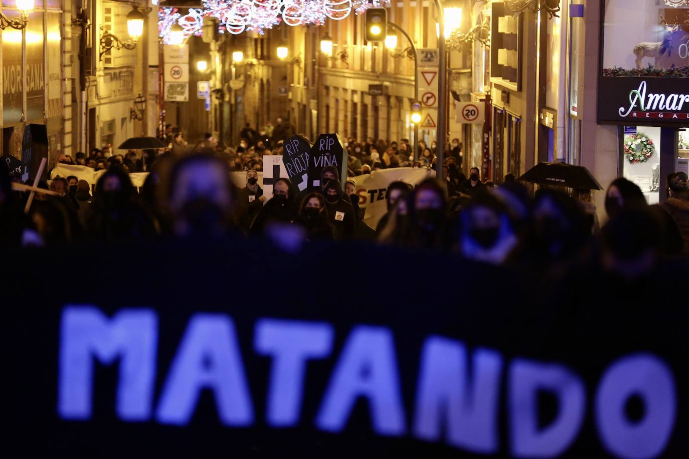 Fotos: La protesta contra las eólicas recorre las calles de Logroño