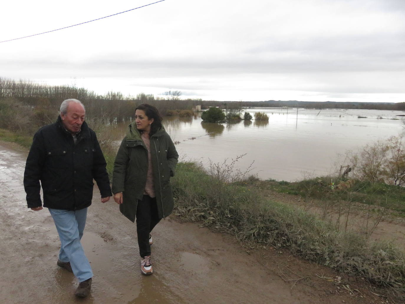 Fotos: Terrenos inundados en Alfaro