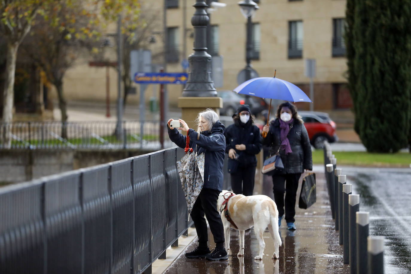 Fotos: Las espectaculares imágenes del río en Logroño