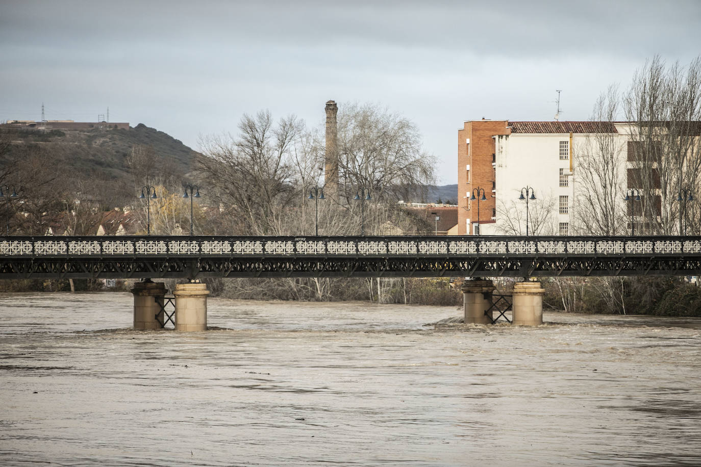 Fotos: Las espectaculares imágenes del río en Logroño