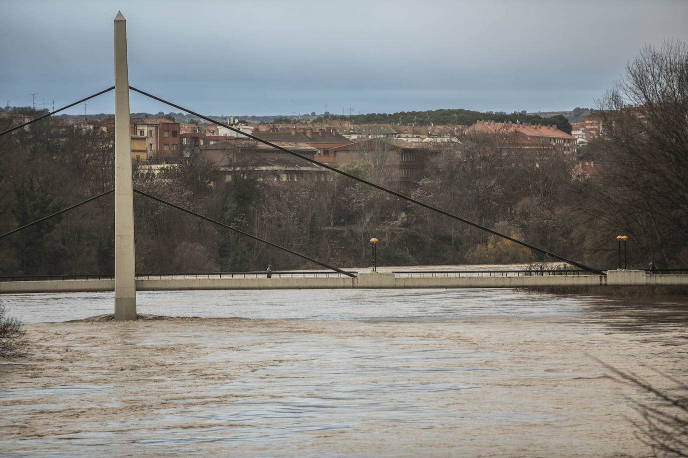 Fotos: Las espectaculares imágenes del río en Logroño