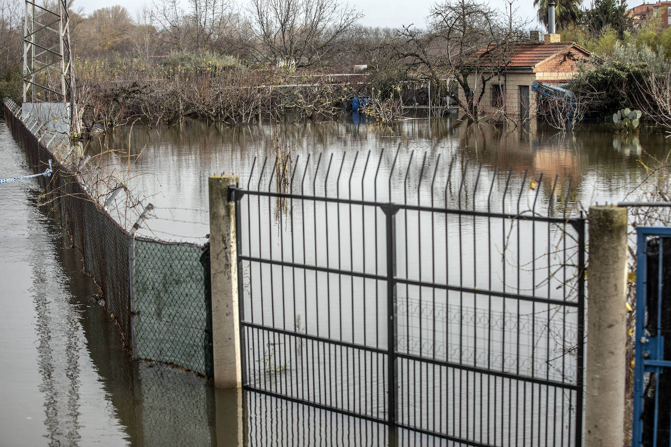 Fotos: Las espectaculares imágenes del río en Logroño