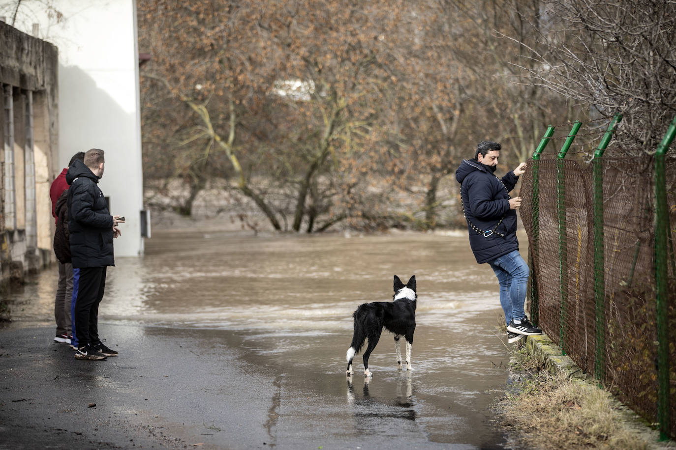 Fotos: Las espectaculares imágenes del río en Logroño