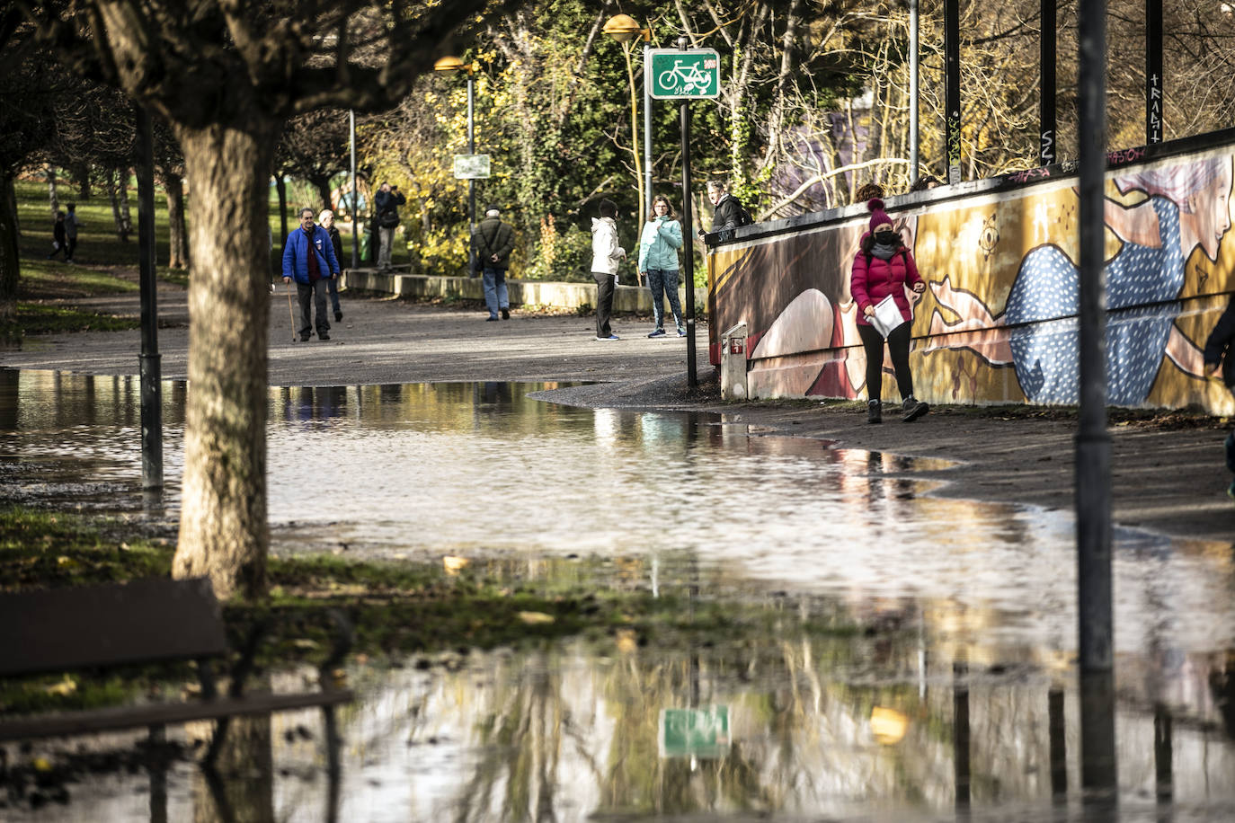 Fotos: Las espectaculares imágenes del río en Logroño