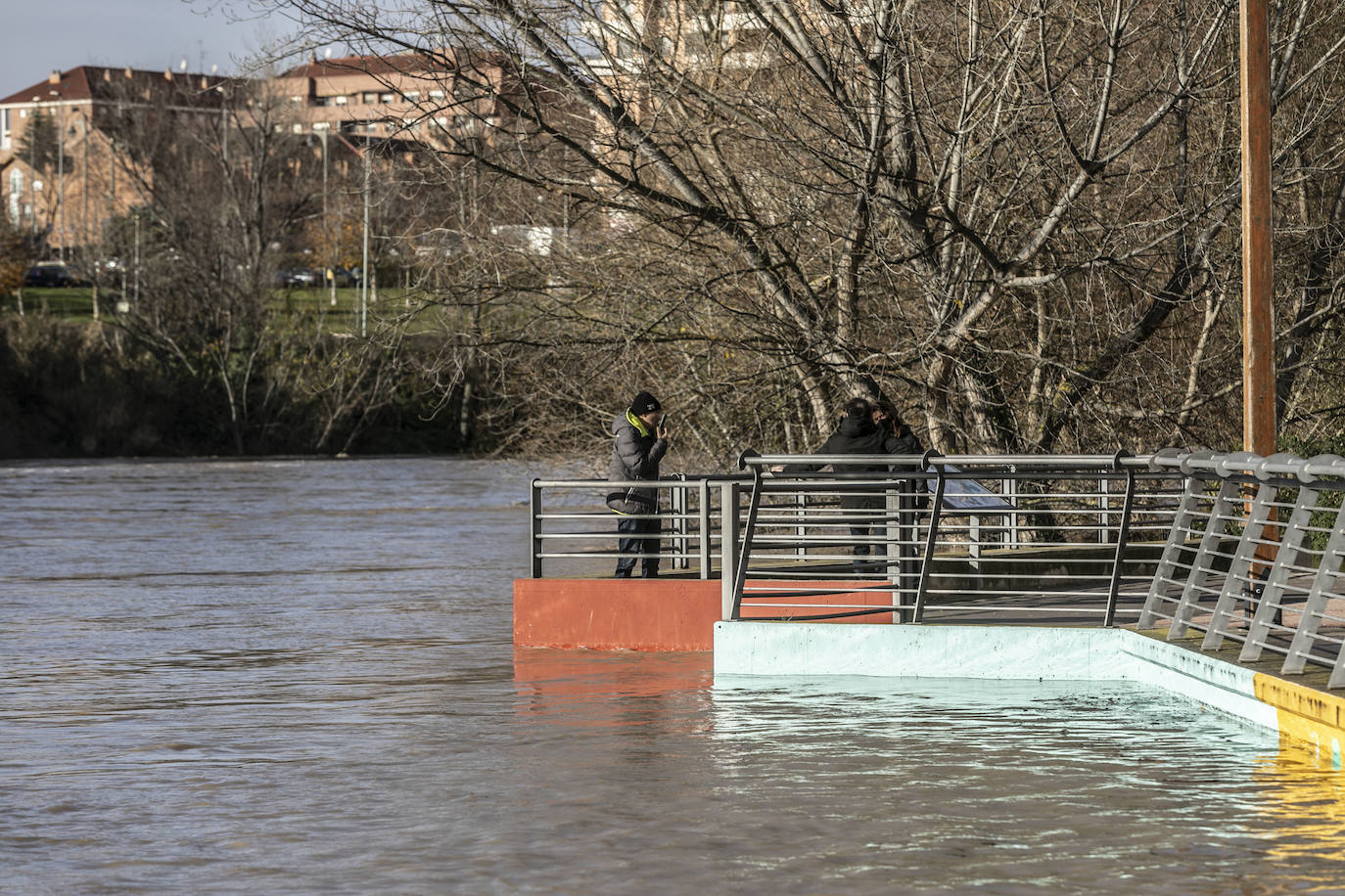 Fotos: Las espectaculares imágenes del río en Logroño