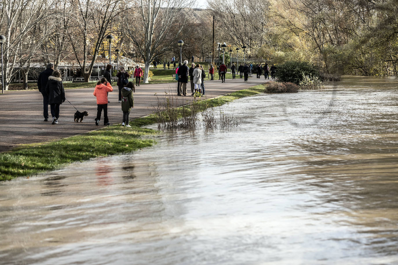 Fotos: Las espectaculares imágenes del río en Logroño