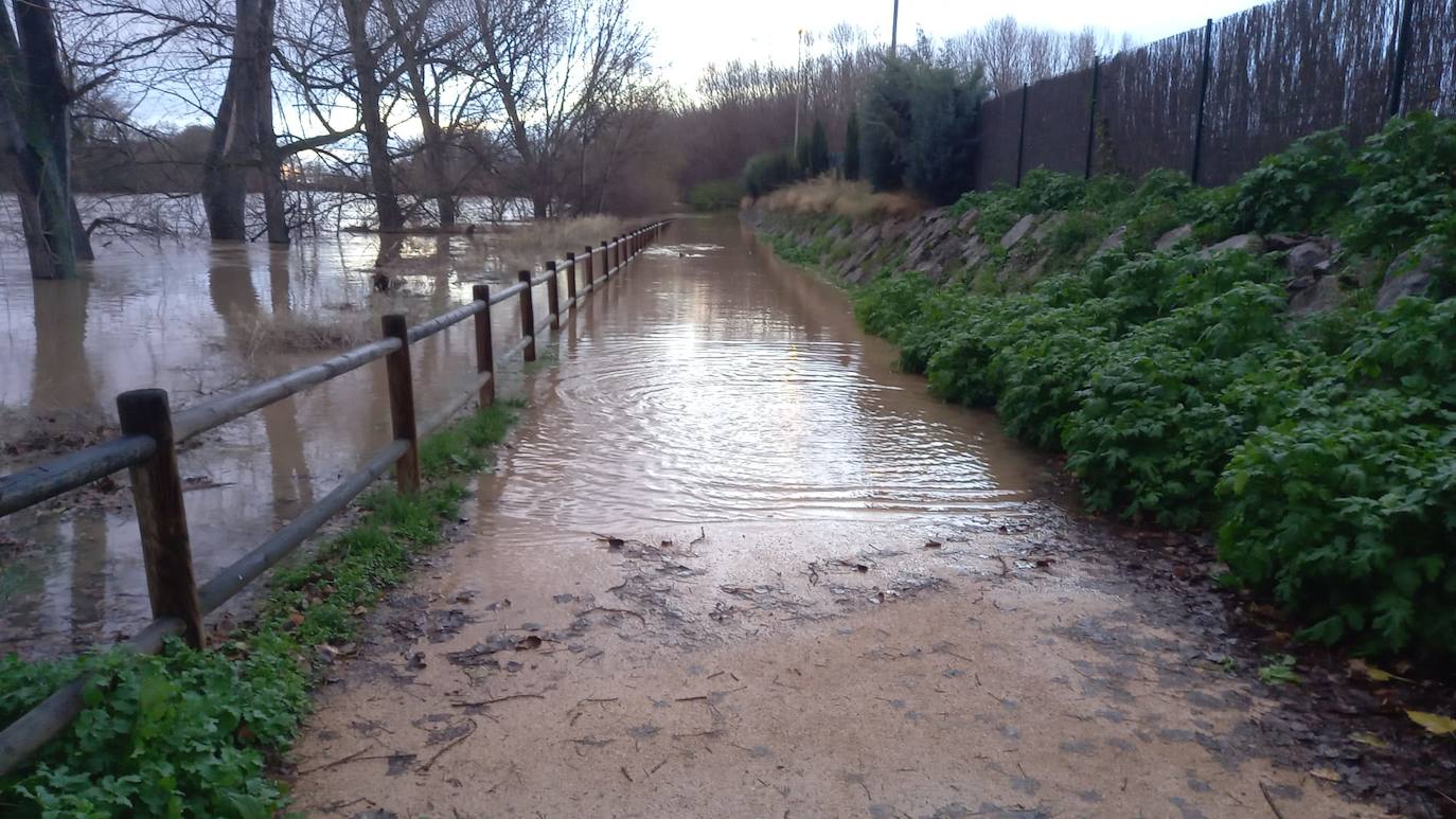 Fotos: Los daños causados por la crecida del Ebro en Logroño