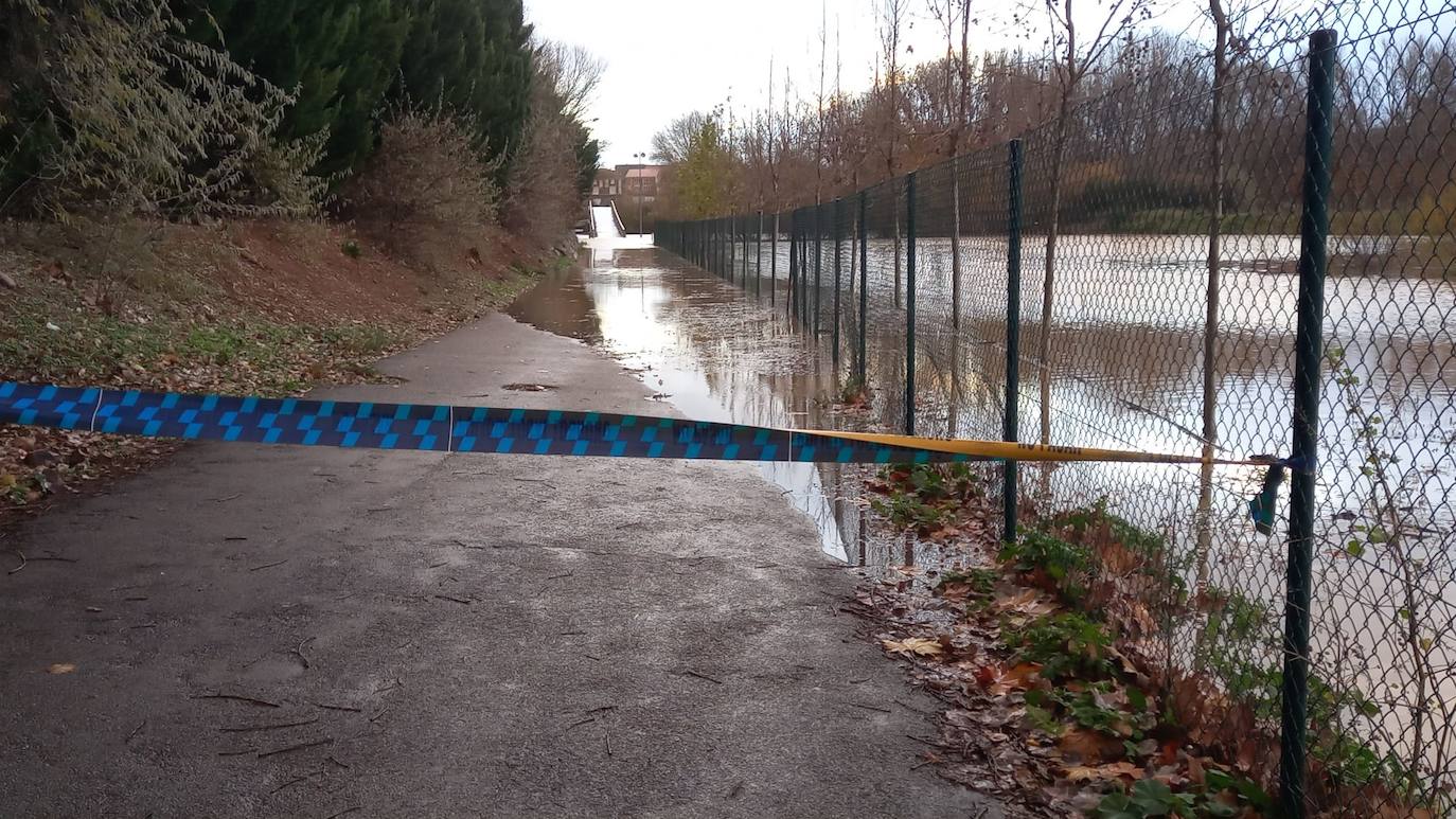 Fotos: Los daños causados por la crecida del Ebro en Logroño