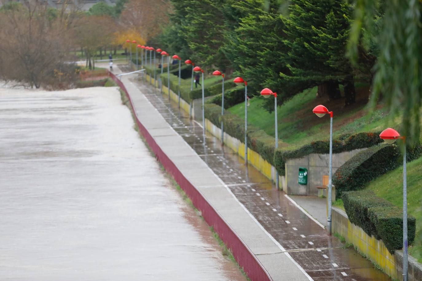 Fotos: Los daños causados por la crecida del Ebro en Logroño