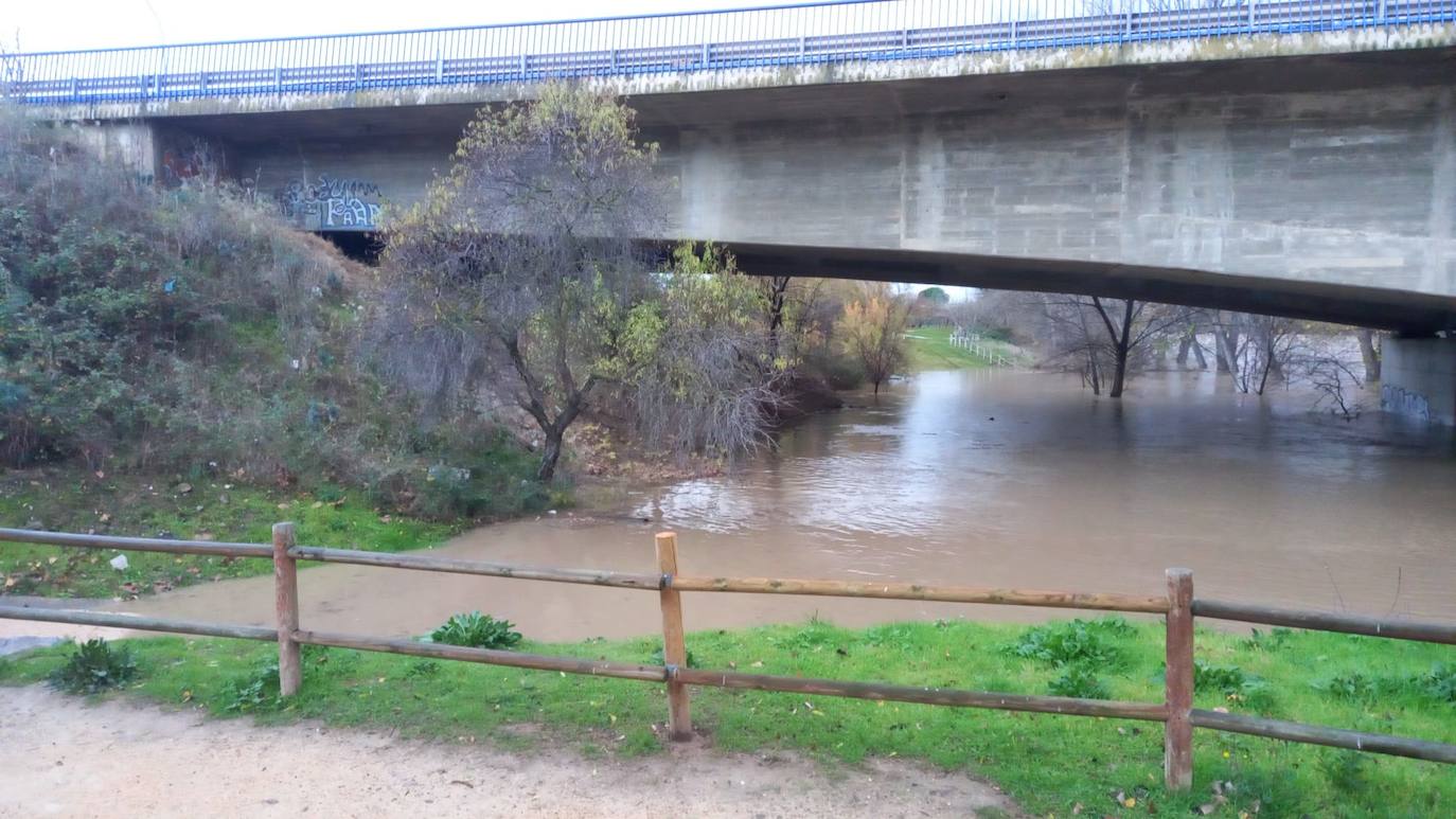 Fotos: Los daños causados por la crecida del Ebro en Logroño