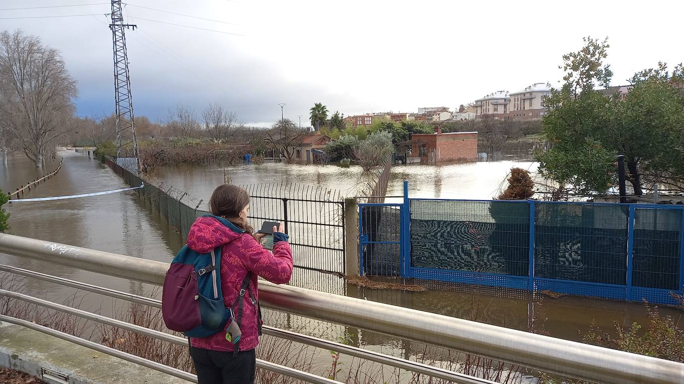 Fotos: Los daños causados por la crecida del Ebro en Logroño