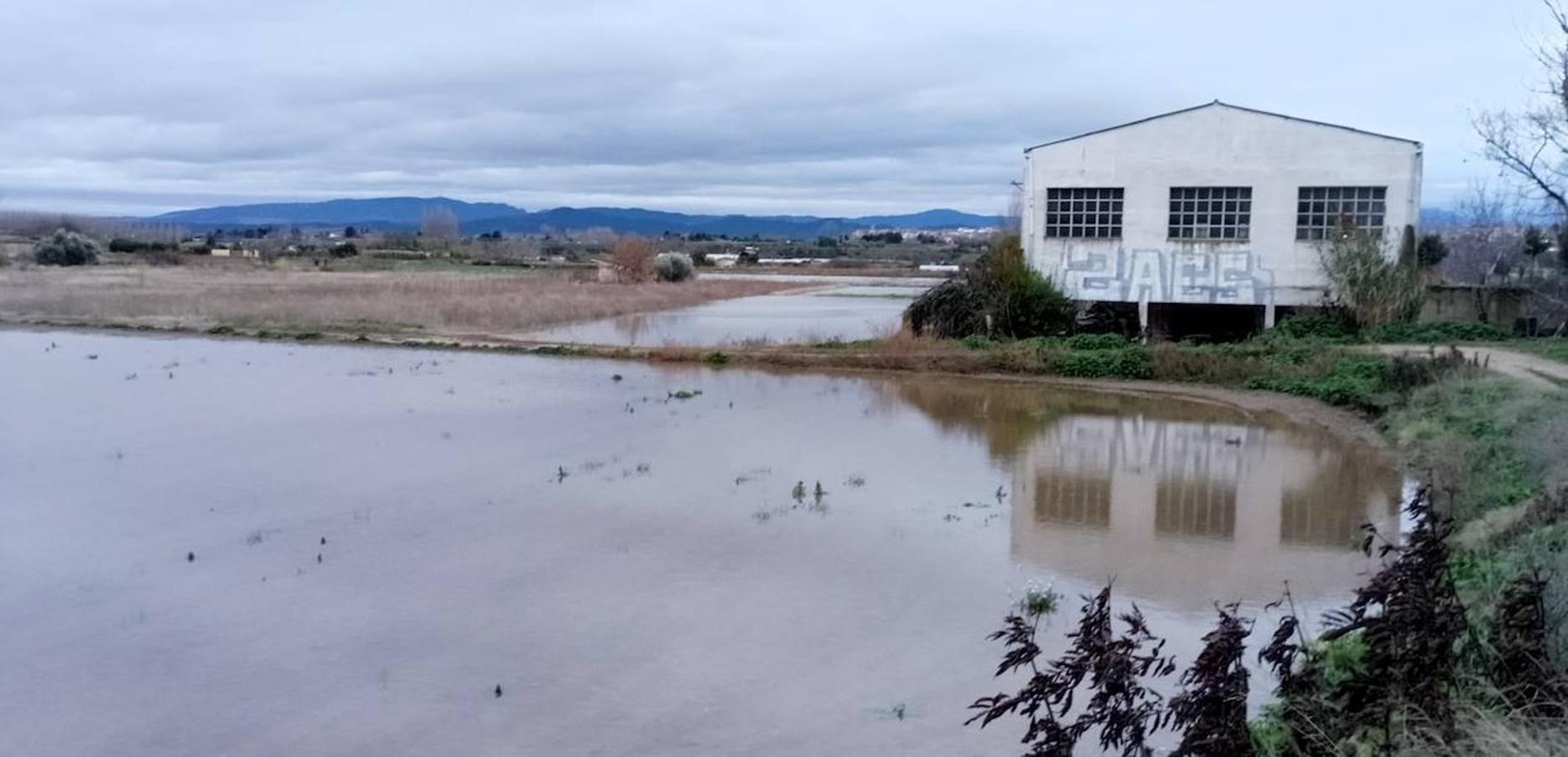 Terrenos junto al caballón del Ebro en Calahorra