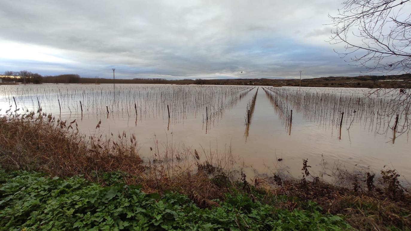 El Ebro a su paso por Alfaro