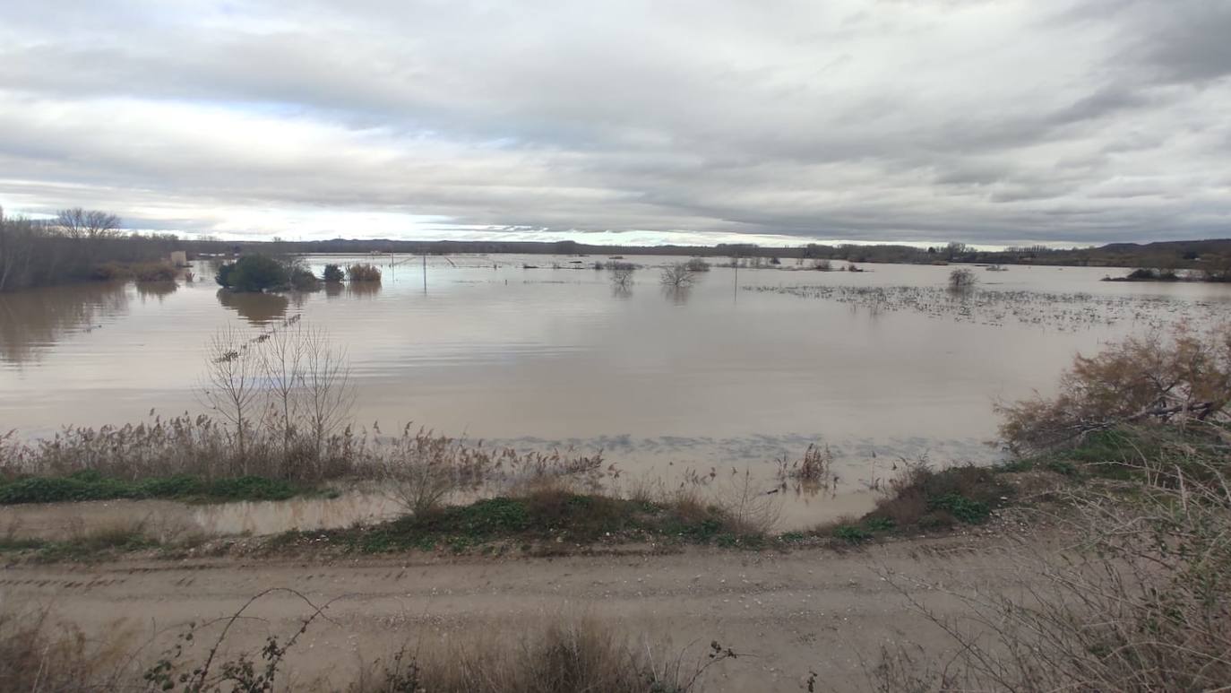 El Ebro a su paso por Alfaro