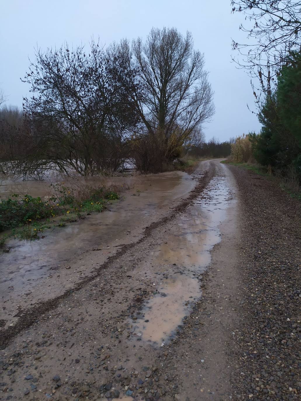 Daños de las inundaciones en Calahorra