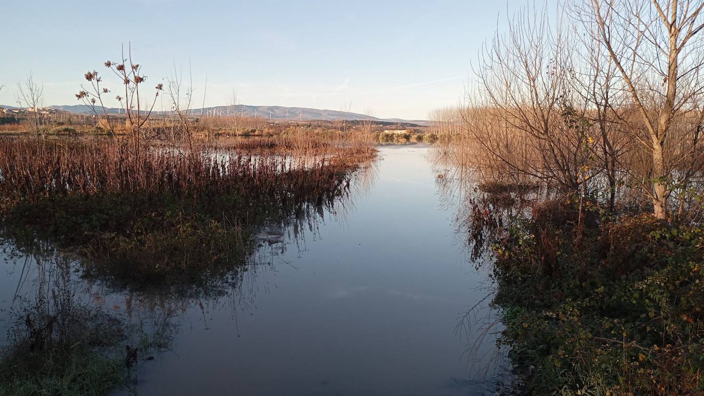 Los cultivos junto al camino del caballon del Ebro en Calahorra