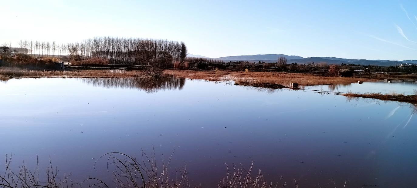 Los cultivos junto al camino del caballon del Ebro en Calahorra