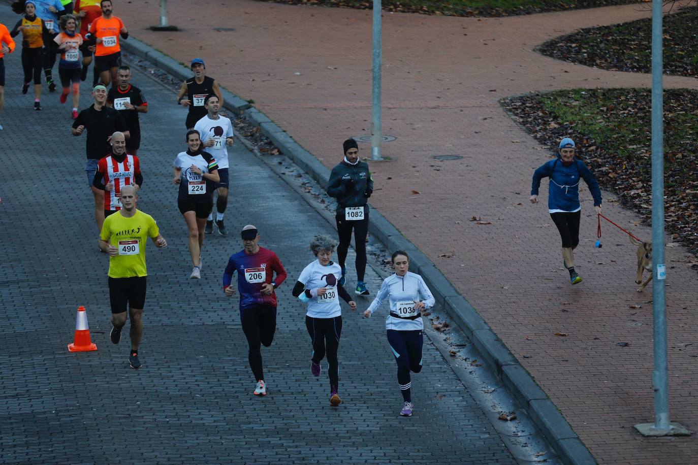 Fotos: La Media Maratón de La Rioja está en marcha