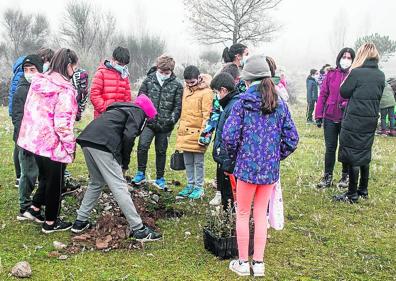 Imagen secundaria 1 - Niños y adultos arrimaron el hombro en la labor repobladora. En total, se plantaron unos 180 retoños de encina. 