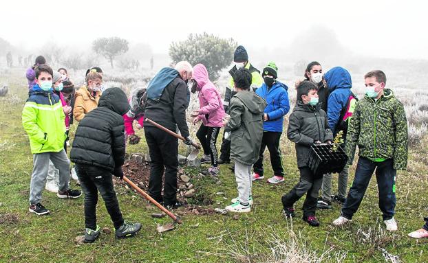 Imagen principal - Niños y adultos arrimaron el hombro en la labor repobladora. En total, se plantaron unos 180 retoños de encina. 