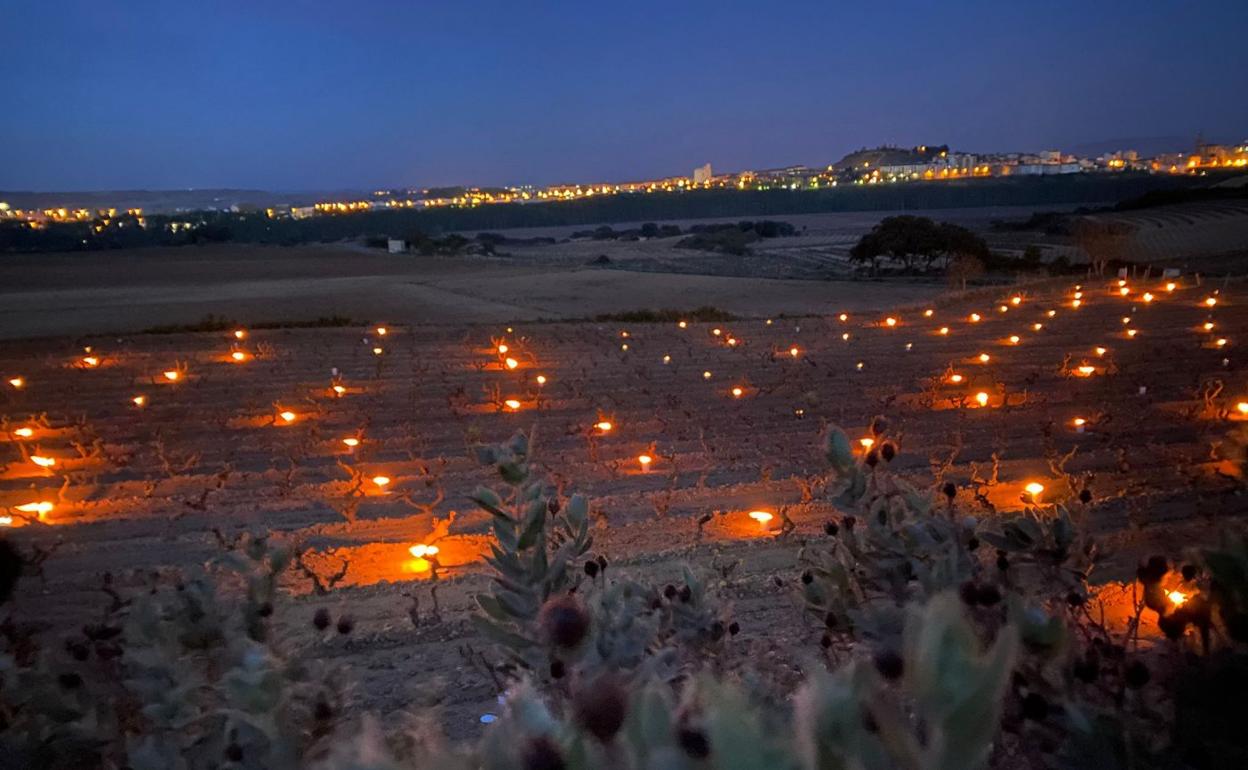 Una imagen habitual en Borgoña, que este invierno ya se vio en alguna parcela de Rioja. Velas de parafina contra las heladas. 