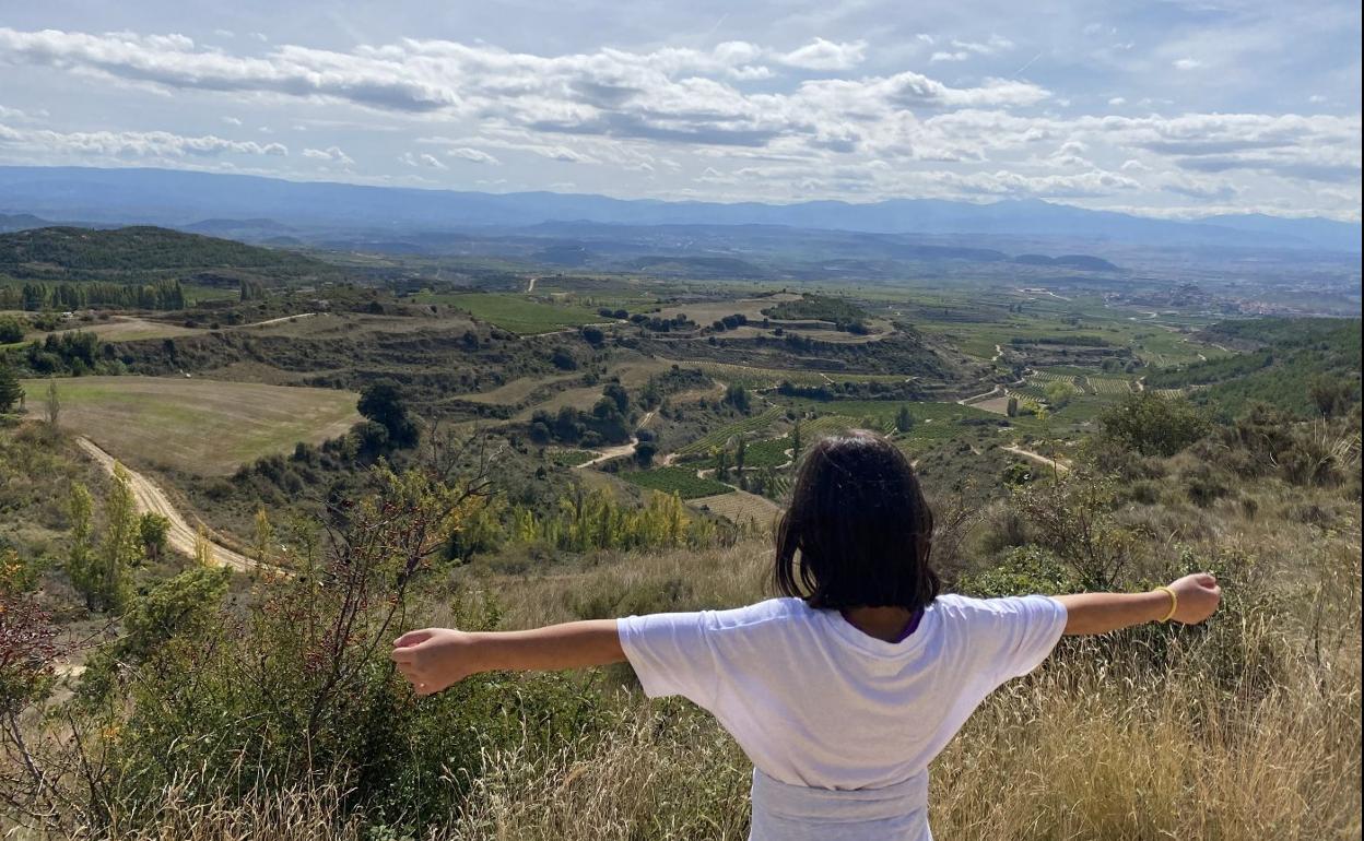 La Sonsierra riojana desde el camino de Peciña. 