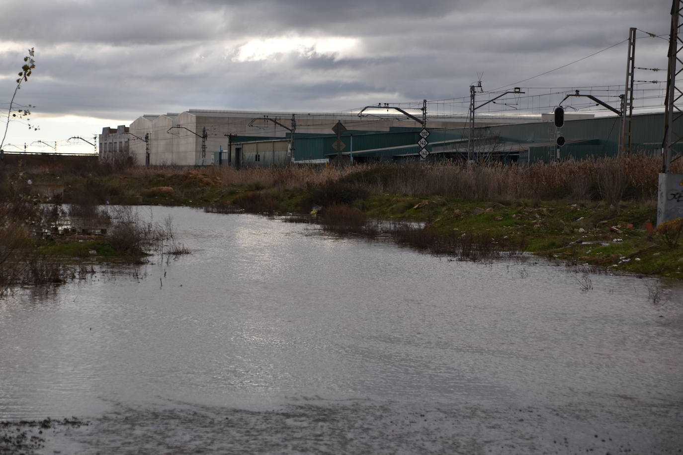 Fotos: Rincón, afectado por la rotura del canal de Lodosa