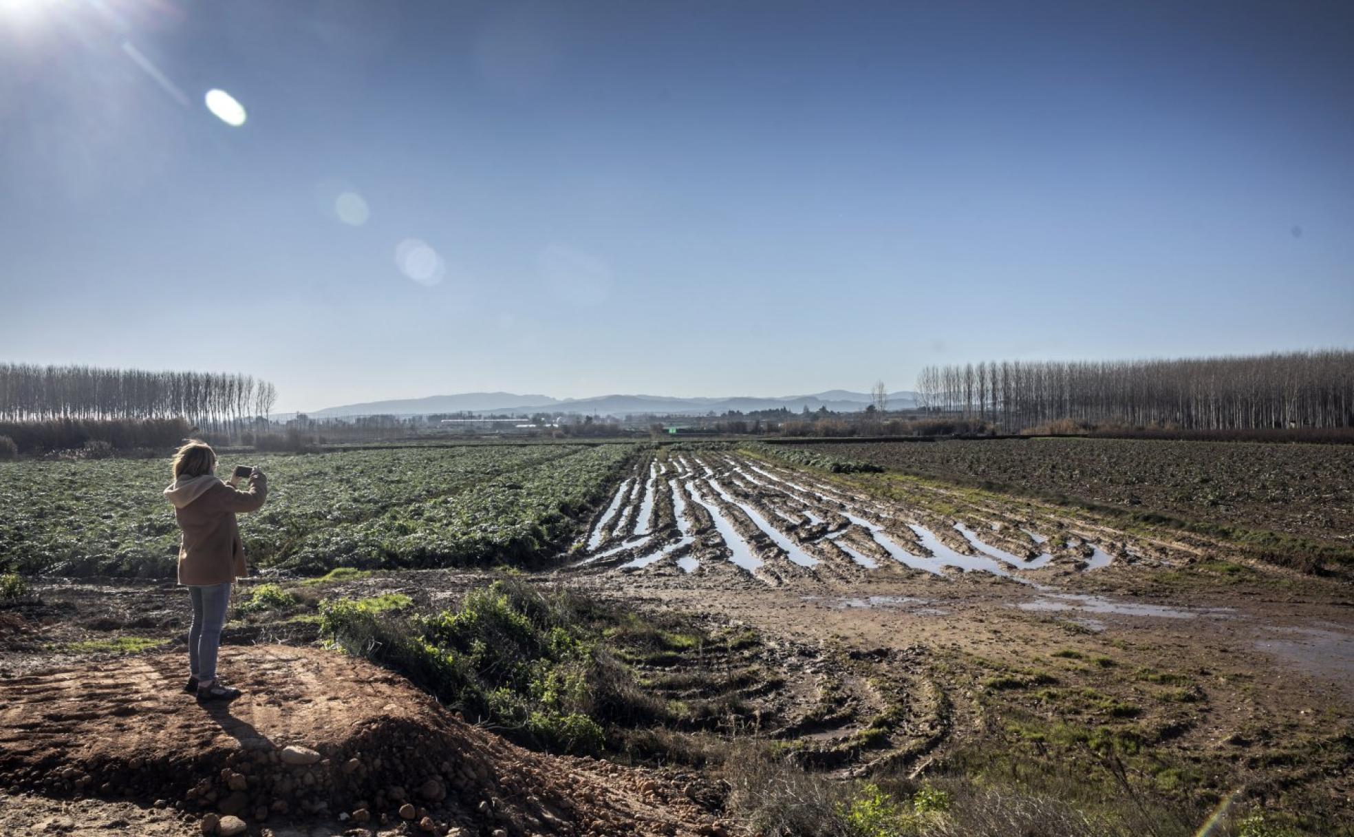 Las fincas todavía están inundadas. 
