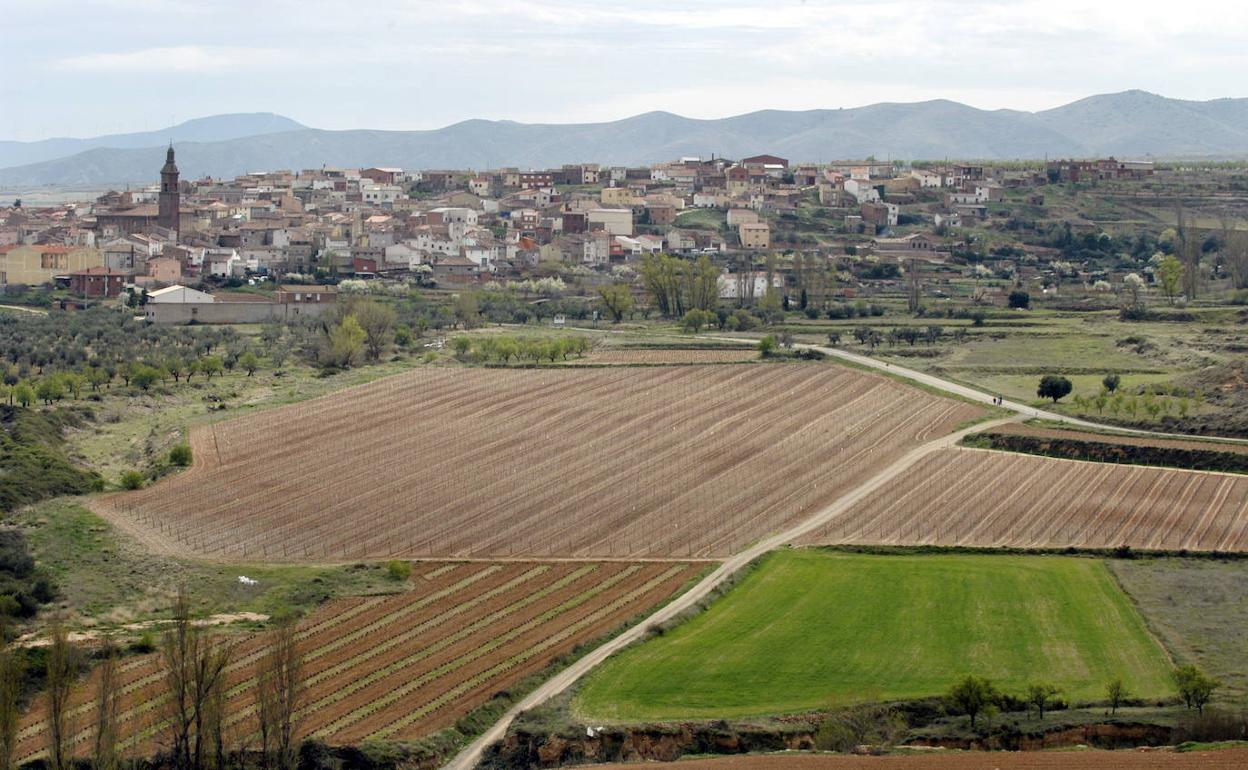 Vista de Tudelilla.