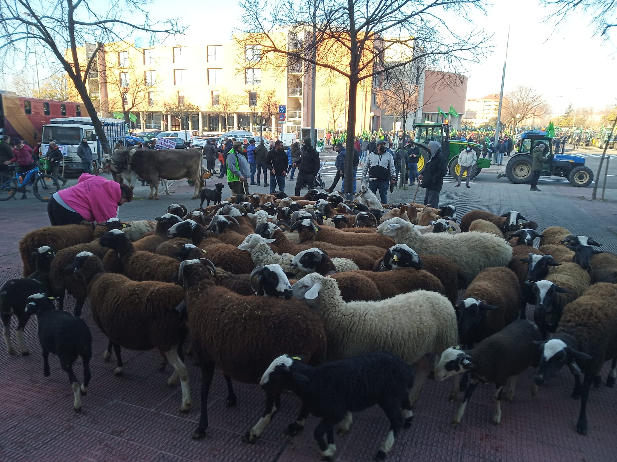 Fotos: Así ha sido la salida de la manifestación del campo