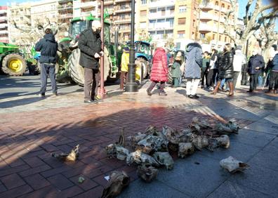 Imagen secundaria 1 - Multitudinaria manifestación de agricultores y ganaderos en Logroño