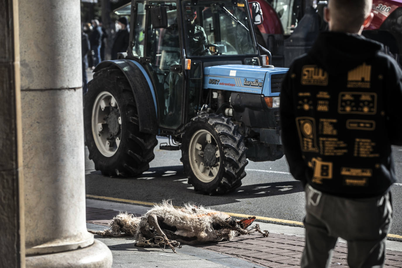 Fotos: El campo riojano se manifiesta en Logroño
