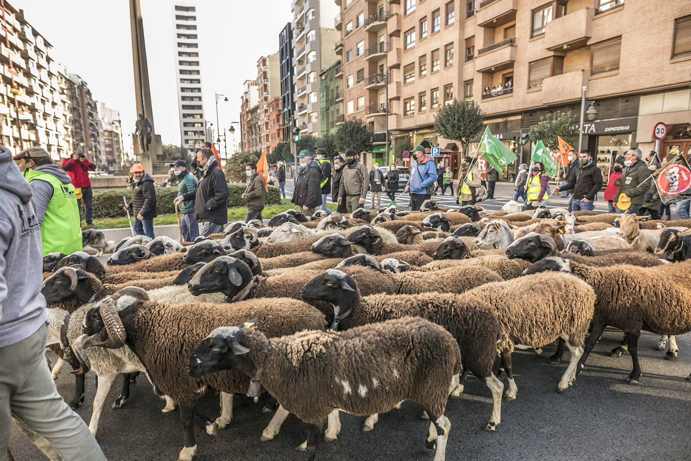 Fotos: El campo riojano se manifiesta en Logroño