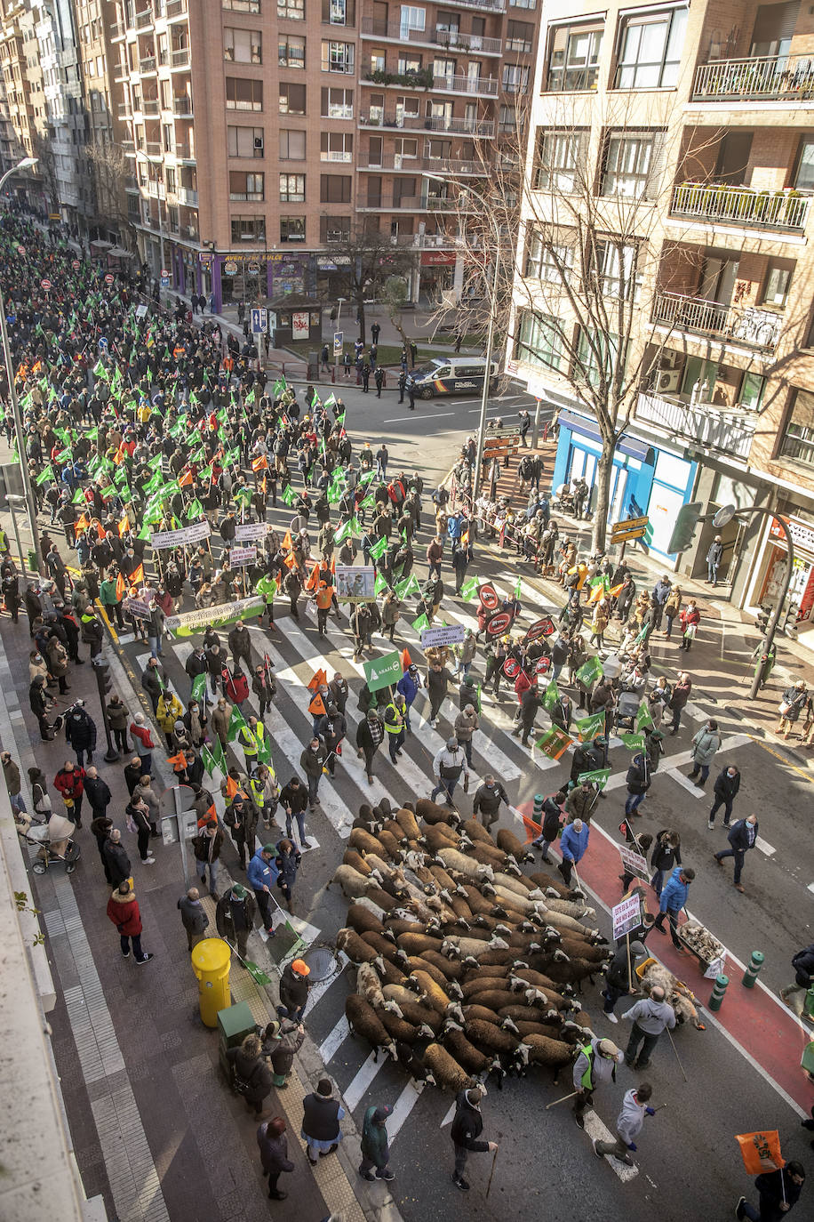 Fotos: El campo riojano se manifiesta en Logroño