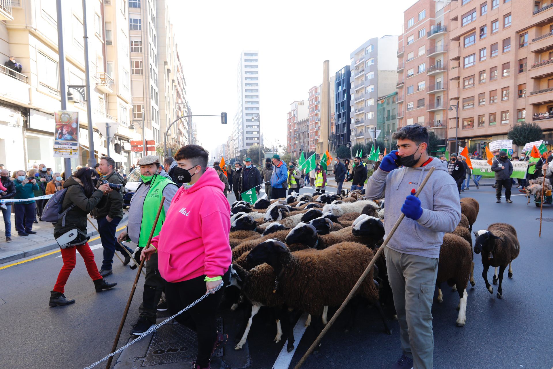 Fotos: La manifestación, a su paso por el centro de Logroño