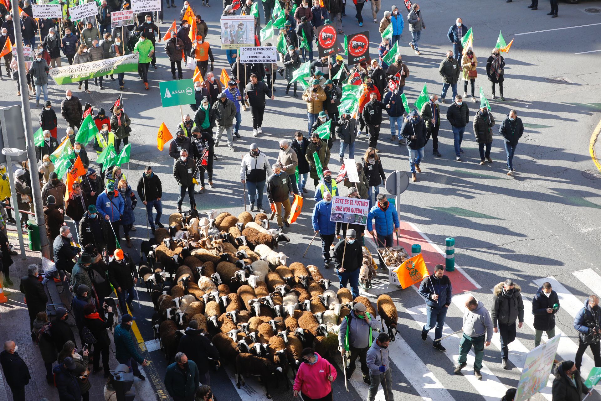 Fotos: La manifestación, a su paso por el centro de Logroño