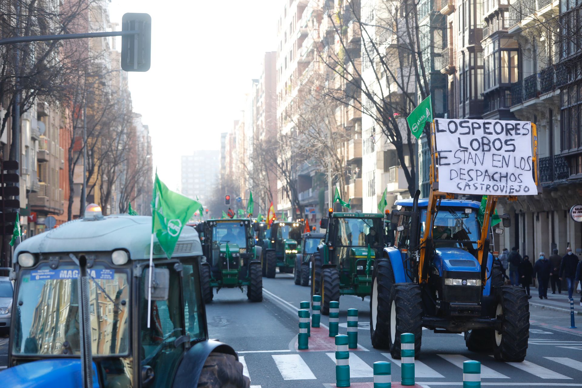 Fotos: La manifestación, a su paso por el centro de Logroño