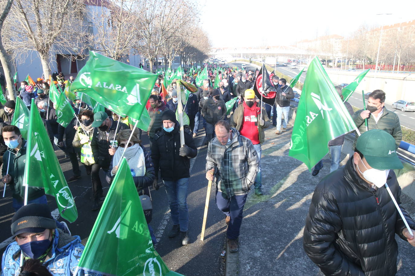 Fotos: La manifestación, a su paso por el centro de Logroño