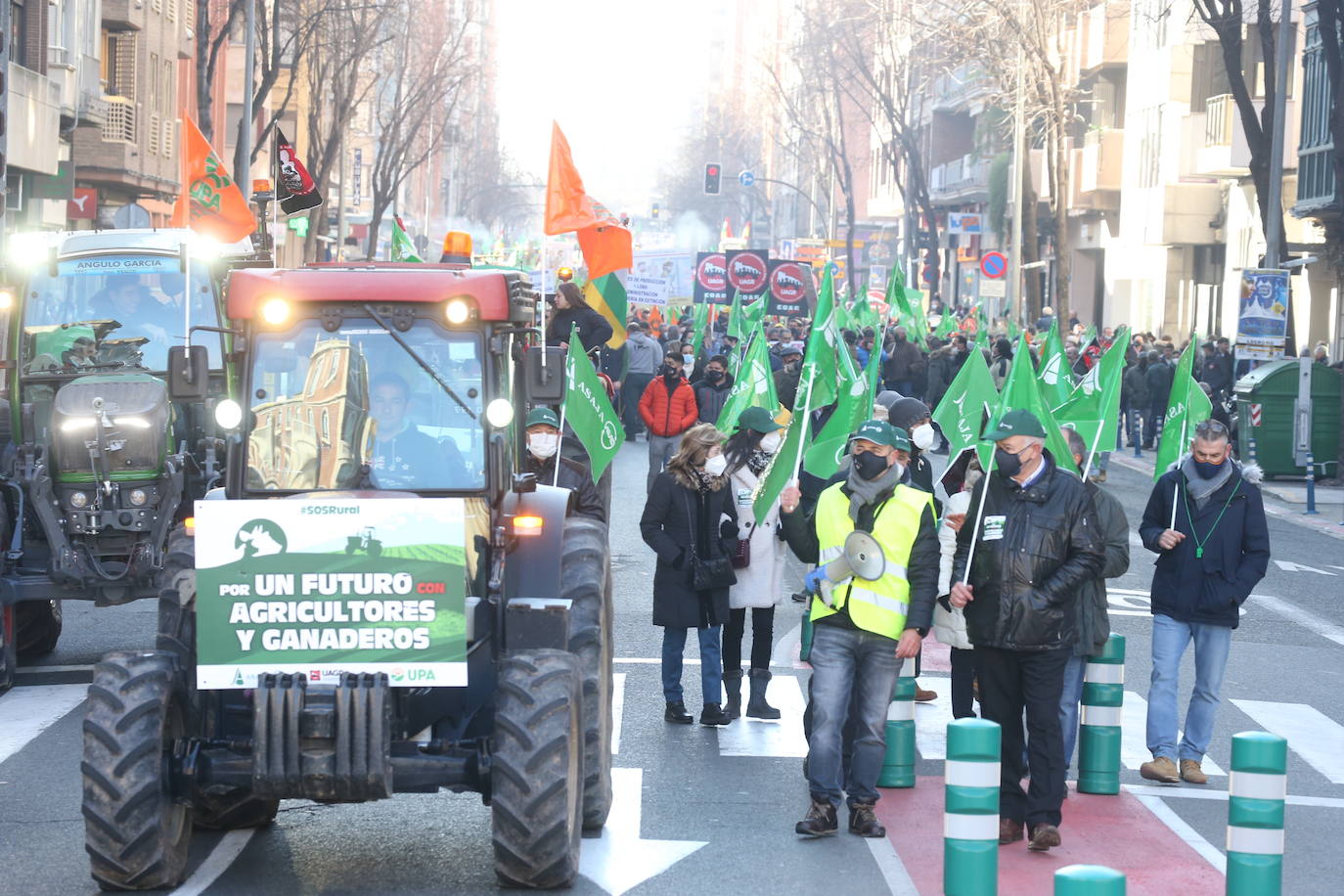 Fotos: La manifestación, a su paso por el centro de Logroño