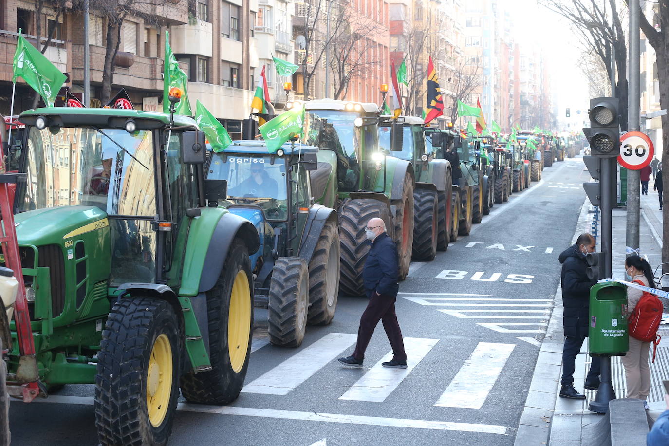 Fotos: La manifestación, a su paso por el centro de Logroño