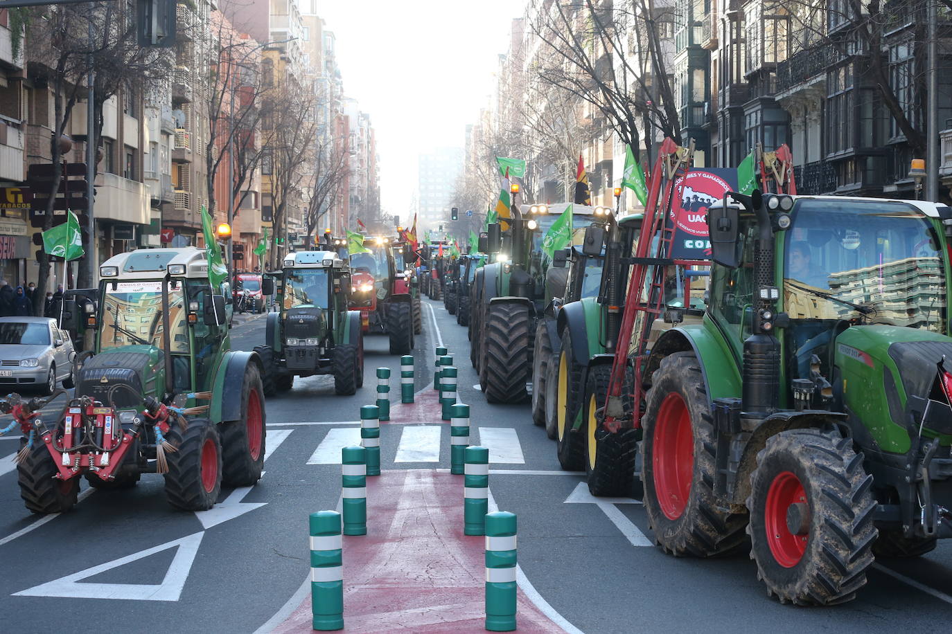 Fotos: La manifestación, a su paso por el centro de Logroño