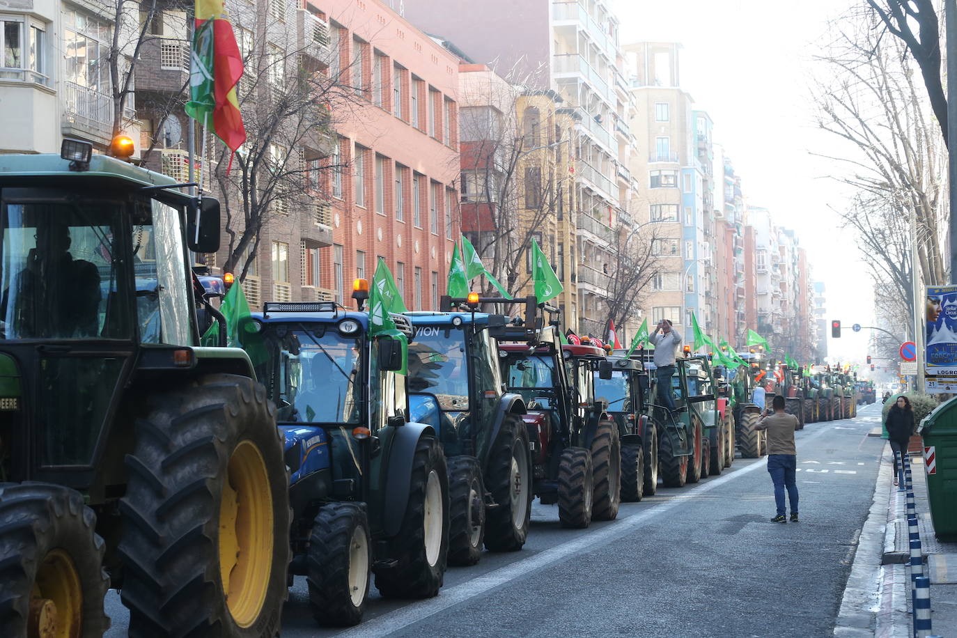 Fotos: La manifestación, a su paso por el centro de Logroño