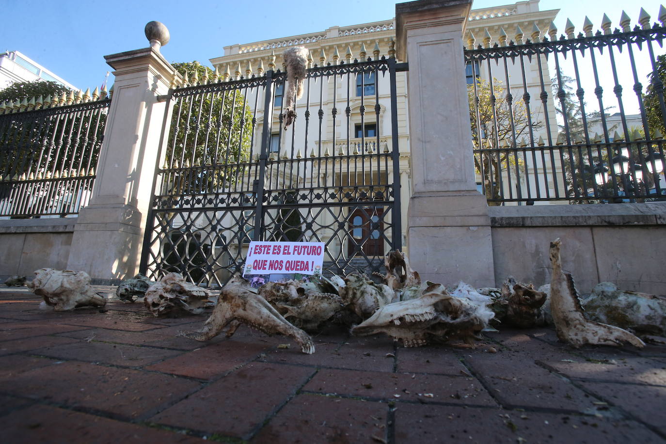 Fotos: La manifestación, a su paso por el centro de Logroño